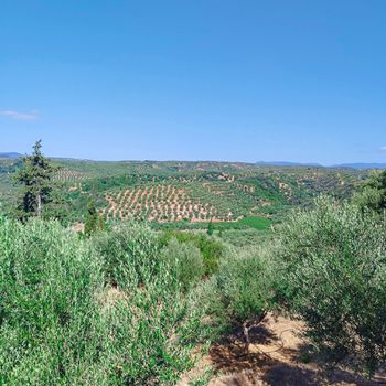 Land plot 742sqm for sale-Messini