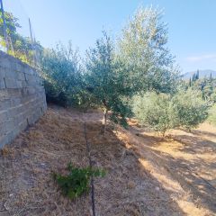 Οικόπεδο 742 τ.μ. για πώληση, Μεσσηνία, Μεσσήνη-thumb-7