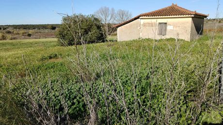 Land plot 10.112sqm for sale-Gargalianoi