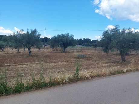 Land plot 3.160sqm for sale-Oropos