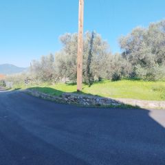 Land plot 885 sqm for sale, Messinia, Arfara-thumb-10