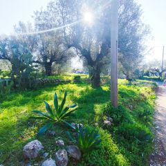 Land plot 885 sqm for sale, Messinia, Arfara-thumb-4