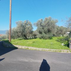 Land plot 885 sqm for sale, Messinia, Arfara-thumb-11