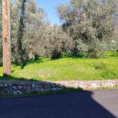 Land plot 885 sqm for sale, Messinia, Arfara-thumb-9