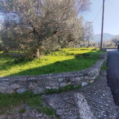 Land plot 885 sqm for sale, Messinia, Arfara-thumb-7