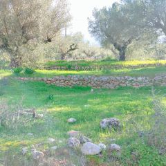 Land plot 885 sqm for sale, Messinia, Arfara-thumb-1