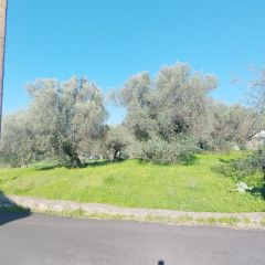 Land plot 885 sqm for sale, Messinia, Arfara-thumb-12