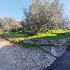 Land plot 885 sqm for sale, Messinia, Arfara-thumb-5
