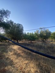 Αγροτεμάχια 2.620 τ.μ. για πώληση, Μεσσηνία, Αρφαρά-thumb-23