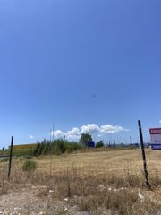 Οικόπεδο 13.000 τ.μ. για ενοικίαση, Μεσσηνία, Καλαμάτα-thumb-15