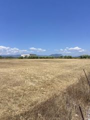Οικόπεδο 13.000 τ.μ. για ενοικίαση, Μεσσηνία, Καλαμάτα-thumb-7