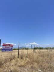 Οικόπεδο 13.000 τ.μ. για ενοικίαση, Μεσσηνία, Καλαμάτα-thumb-5