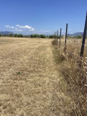Οικόπεδο 13.000 τ.μ. για ενοικίαση, Μεσσηνία, Καλαμάτα-thumb-8