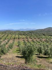 Αγροτεμάχια 85.000 τ.μ. για πώληση, Μεσσηνία, Ιθώμης-thumb-21