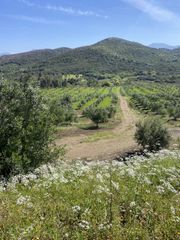 Αγροτεμάχια 85.000 τ.μ. για πώληση, Μεσσηνία, Ιθώμης-thumb-25