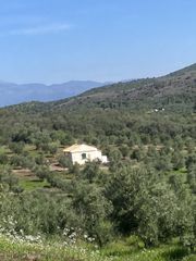 Αγροτεμάχια 85.000 τ.μ. για πώληση, Μεσσηνία, Ιθώμης-thumb-6