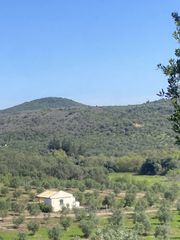 Αγροτεμάχια 85.000 τ.μ. για πώληση, Μεσσηνία, Ιθώμης-thumb-23
