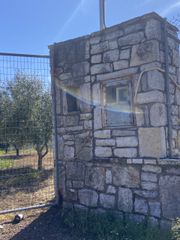 Αγροτεμάχια 85.000 τ.μ. για πώληση, Μεσσηνία, Ιθώμης-thumb-1