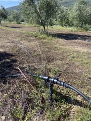 Αγροτεμάχια 85.000 τ.μ. για πώληση, Μεσσηνία, Ιθώμης-thumb-28