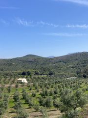 Αγροτεμάχια 85.000 τ.μ. για πώληση, Μεσσηνία, Ιθώμης-thumb-24
