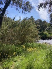 Αγροτεμάχια 85.000 τ.μ. για πώληση, Μεσσηνία, Ιθώμης-thumb-18