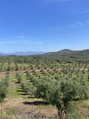 Αγροτεμάχια 85.000 τ.μ. για πώληση, Μεσσηνία, Ιθώμης-thumb-5