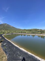 Αγροτεμάχια 85.000 τ.μ. για πώληση, Μεσσηνία, Ιθώμης-thumb-10