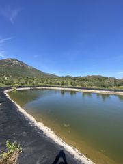 Αγροτεμάχια 85.000 τ.μ. για πώληση, Μεσσηνία, Ιθώμης-thumb-9