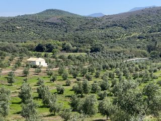Αγροτεμάχια 85.000 τ.μ. για πώληση, Μεσσηνία, Ιθώμης-thumb-22