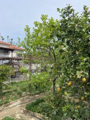 Μονοκατοικία 98 τ.μ. για πώληση, Μεσσηνία, Μελιγαλά-thumb-29