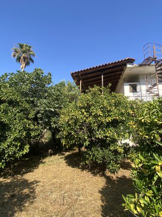 Μονοκατοικία 165 τ.μ. για πώληση, Μεσσηνία, Αρφαρά