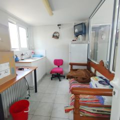 Επιχείρηση 346 τ.μ. για πώληση, Μεσσηνία, Θουρία-thumb-14