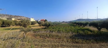 Αγροτεμάχια 4.129τ.μ. για ενοικίαση-Βάρη- βάρκιζα