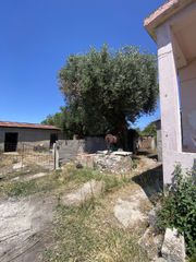 Μονοκατοικία 137 τ.μ. για πώληση, Μεσσηνία, Οιχαλία-thumb-21