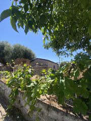 Μονοκατοικία 137 τ.μ. για πώληση, Μεσσηνία, Οιχαλία-thumb-27