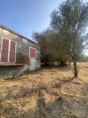 Μονοκατοικία 62 τ.μ. για πώληση, Μεσσηνία, Μελιγαλά-thumb-23