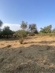 Μονοκατοικία 62 τ.μ. για πώληση, Μεσσηνία, Μελιγαλά-thumb-17