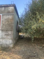 Μονοκατοικία 62 τ.μ. για πώληση, Μεσσηνία, Μελιγαλά-thumb-9