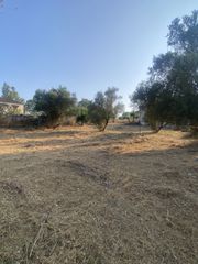 Μονοκατοικία 62 τ.μ. για πώληση, Μεσσηνία, Μελιγαλά-thumb-15