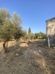 Μονοκατοικία 62 τ.μ. για πώληση, Μεσσηνία, Μελιγαλά-thumb-24