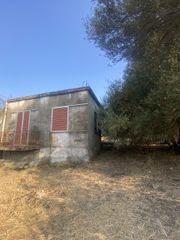 Μονοκατοικία 62 τ.μ. για πώληση, Μεσσηνία, Μελιγαλά-thumb-11