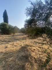 Μονοκατοικία 62 τ.μ. για πώληση, Μεσσηνία, Μελιγαλά-thumb-14