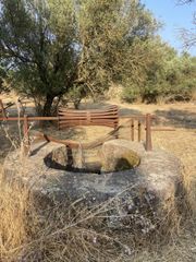 Μονοκατοικία 62 τ.μ. για πώληση, Μεσσηνία, Μελιγαλά-thumb-21