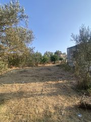 Μονοκατοικία 62 τ.μ. για πώληση, Μεσσηνία, Μελιγαλά-thumb-19