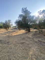 Μονοκατοικία 62 τ.μ. για πώληση, Μεσσηνία, Μελιγαλά-thumb-18