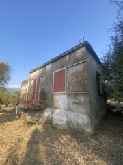 Μονοκατοικία 62 τ.μ. για πώληση, Μεσσηνία, Μελιγαλά-thumb-10