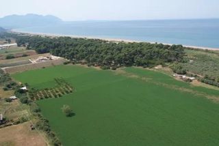 Αγροτεμάχια 56.000 τ.μ. για πώληση, Μεσσηνία, Αυλώνα-thumb-2