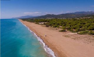 Αγροτεμάχια 56.000 τ.μ. για πώληση, Μεσσηνία, Αυλώνα-thumb-1
