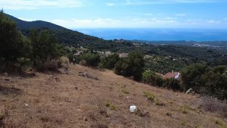 Οικόπεδο 1.670 τ.μ. για πώληση, Μεσσηνία, Κυπαρισσία-thumb-12