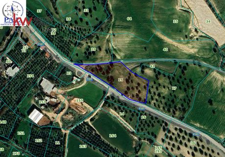 Αγροτεμάχια 7.358τ.μ. για πώληση-Αλαμινός